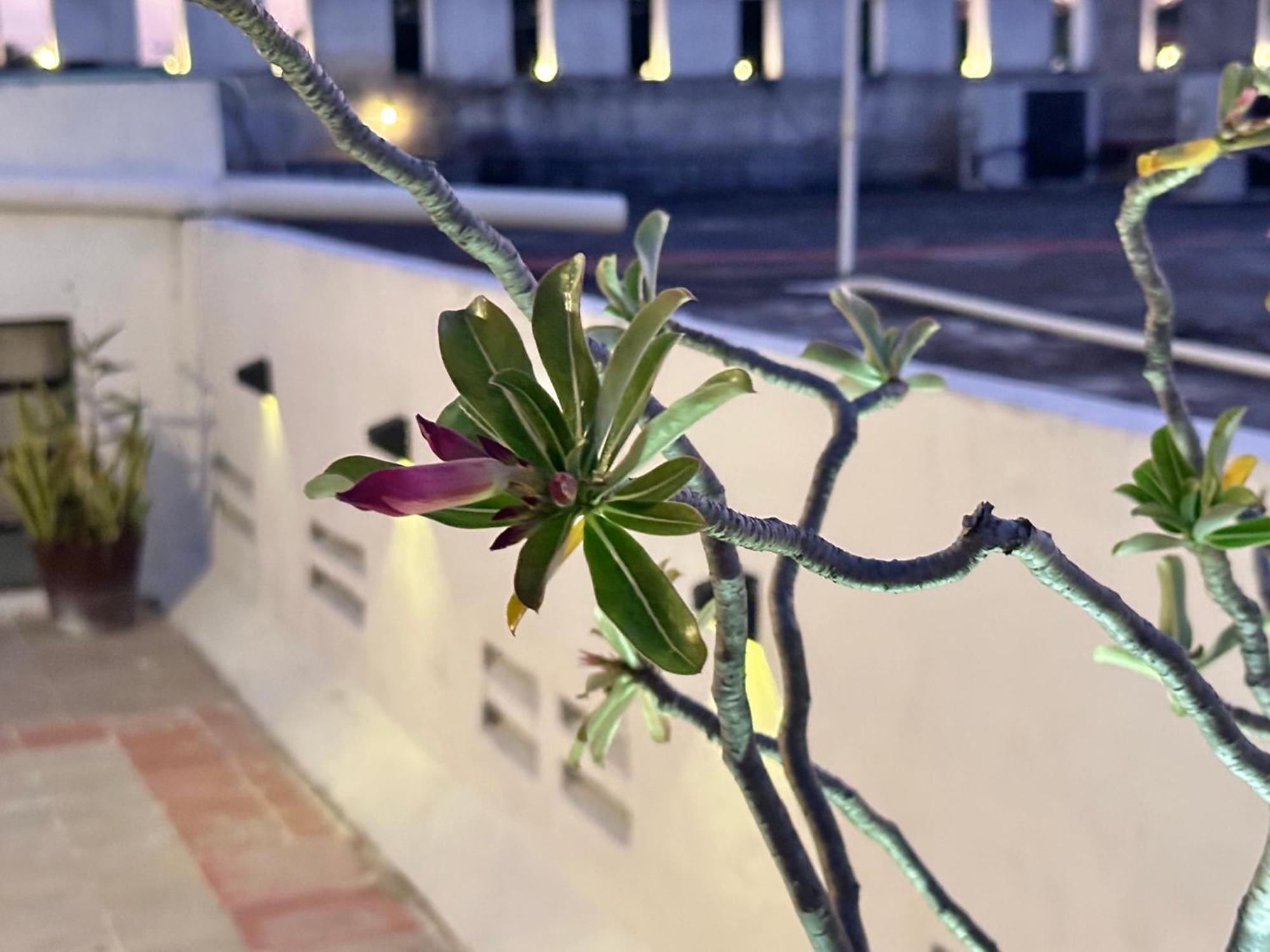 Casa Vidal Hotel Valladolid  Luaran gambar